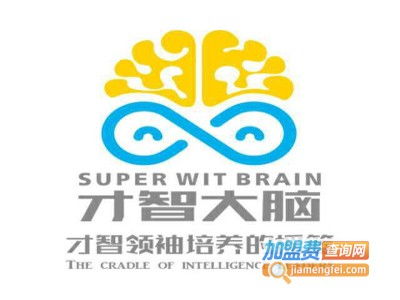 才智大腦素質教育加盟費用詳解 總投資33.53萬元概況